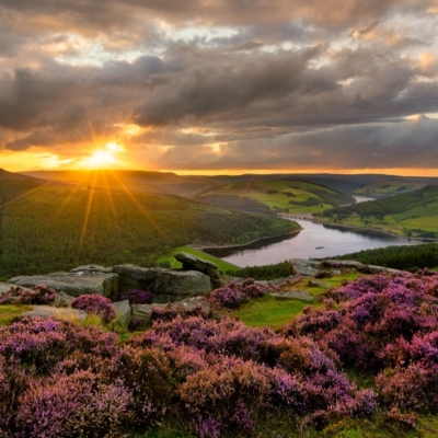 A green valley filled with purple heather, a river flows through the middle and the sun is rising to the left of the image