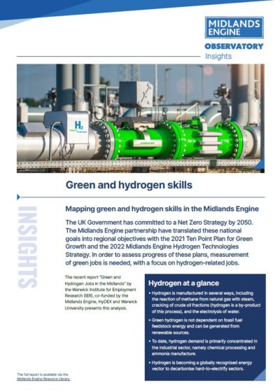 Snapshot of Green & Hydrogen Skills Insights Report