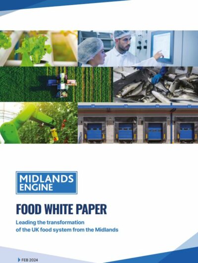 Food white paper cover